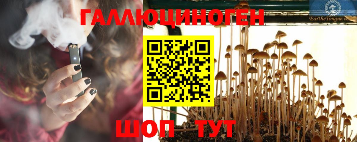 Малоярославец  Псилоцибиновые грибы ЛСД  Вход с VPN 