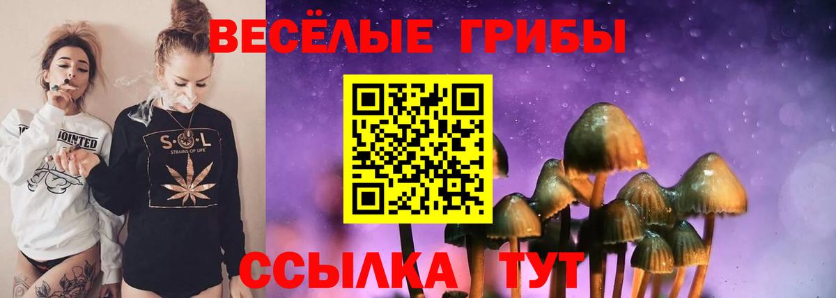 Галлюциногенные грибы ЛСД Малоярославец
